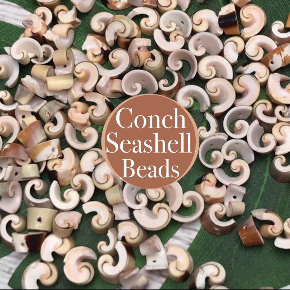 NEW NATURAL CUT SWIRL CONCH SEASHELLS SHELL JEWELRY MAKING CRAFTS DIY BEADS LOT